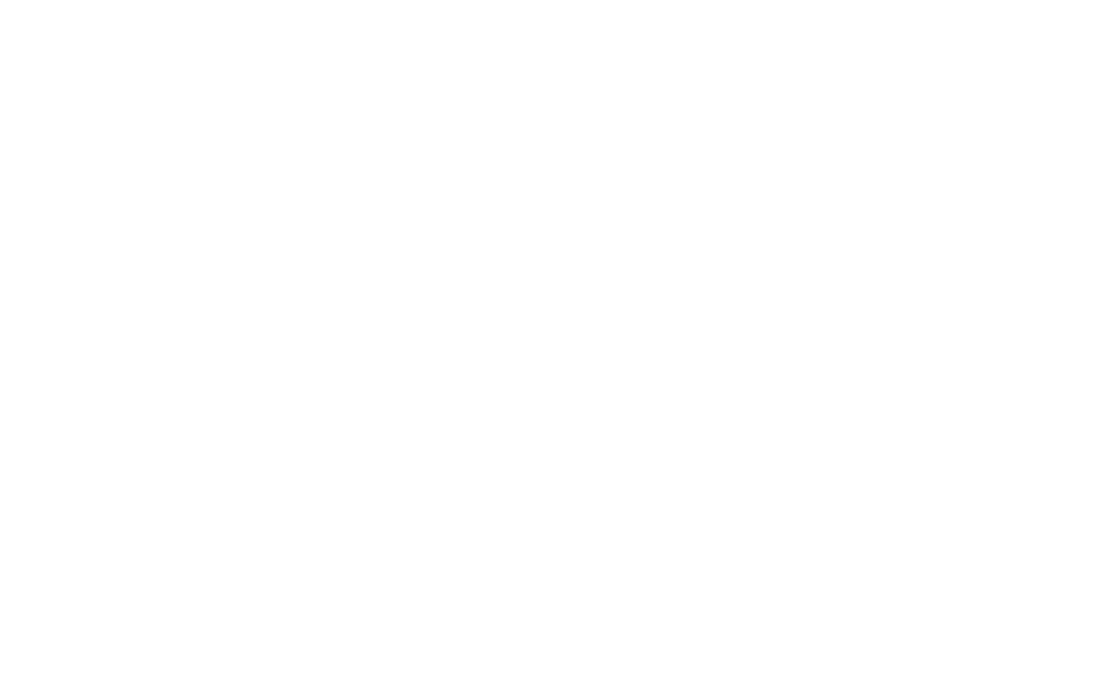 INTRODUCING OUR BRAND