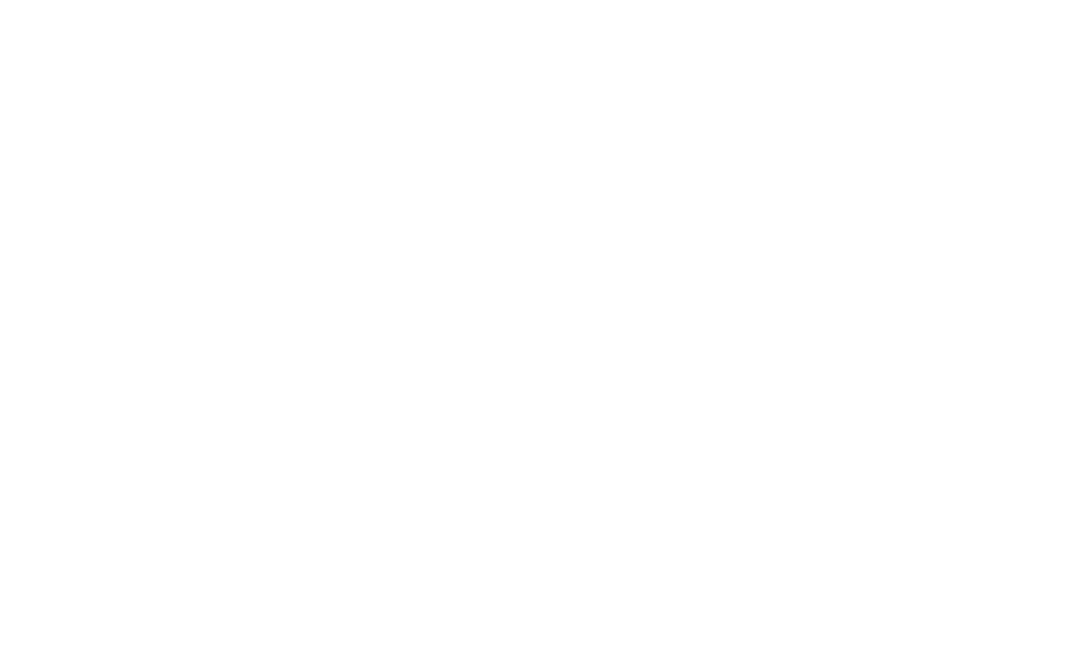 BRAND VOICE