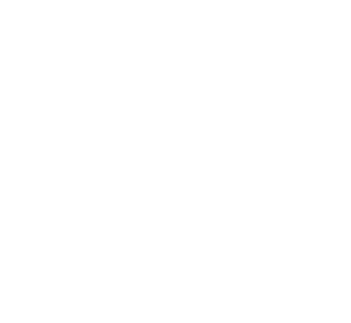 CUSTOM VEHICLES Because of their highly custom nature, the design and layout of vehicle graphics and/or wraps shall b...